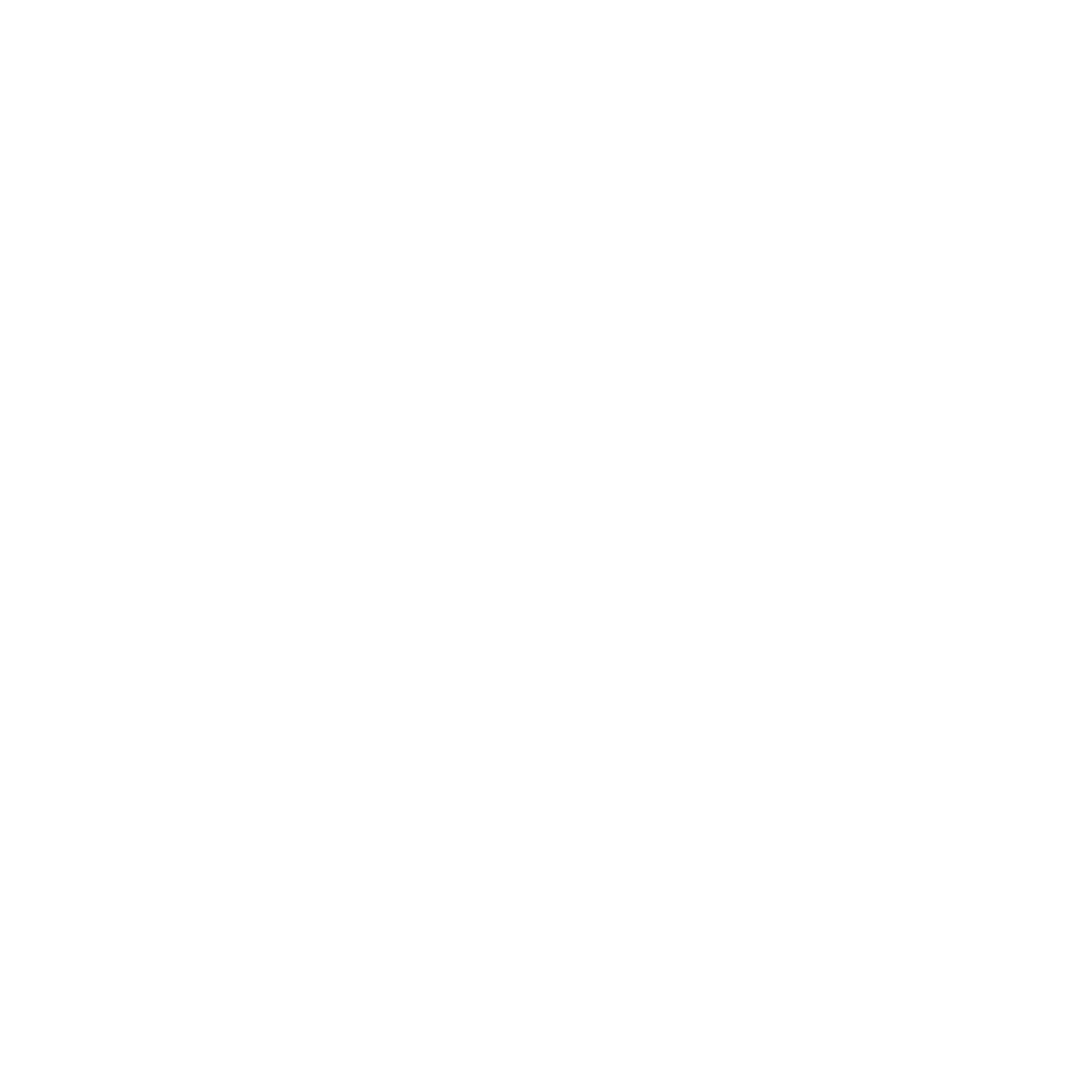 Ski Helmets